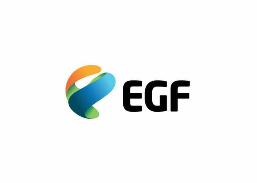 EGF Empresa Geral do Fomento